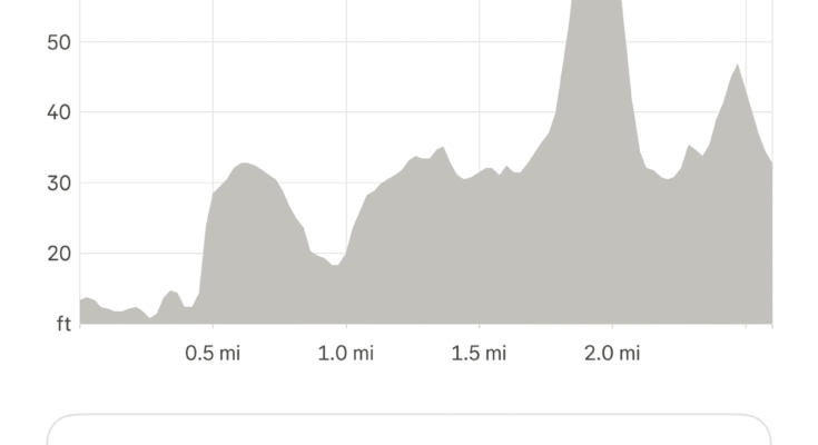 A Run Strava magassági grafikonjának képernyőképe, ahol csökkenti a grafikonon közvetlenül és alatt jelzett magassági adatokat.
