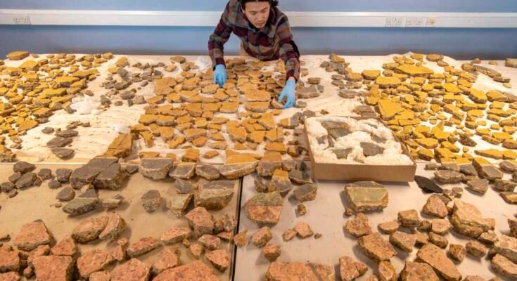 A londoni múzeum régészetének szakembere, Han Li, egy római épület Londonban található gipsz töredékeit mutatja be, amelyet a JC után 200 előtt egy időre lebontottak.