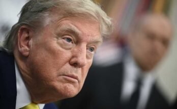 Trump elnök olyan változtatásokat hajt végre, amelyek megkönnyítik a szövetségi alkalmazottak elbocsátását, akik jelenleg jelentős foglalkoztatási védelmet nyújtanak.