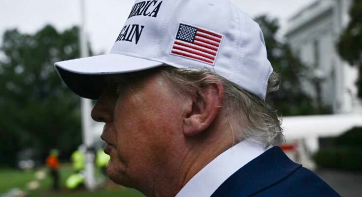 Trump elnök beszél a sajtóval, miközben a munkavállalók 2025. június 18 -án egy nagy zászlórúdot telepítenek a Washington DC -ben, a Washington DC déli gyepére.