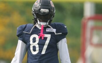 Chicago Bears edzőtábor: A 8. naptól el kell távolítani
