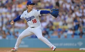 Ingyenes MLB választás, előrejelzések, legjobb fogadások július 1-jén, kedden: Ez a négylábú baseball plébánia több mint 12-1-et fizet